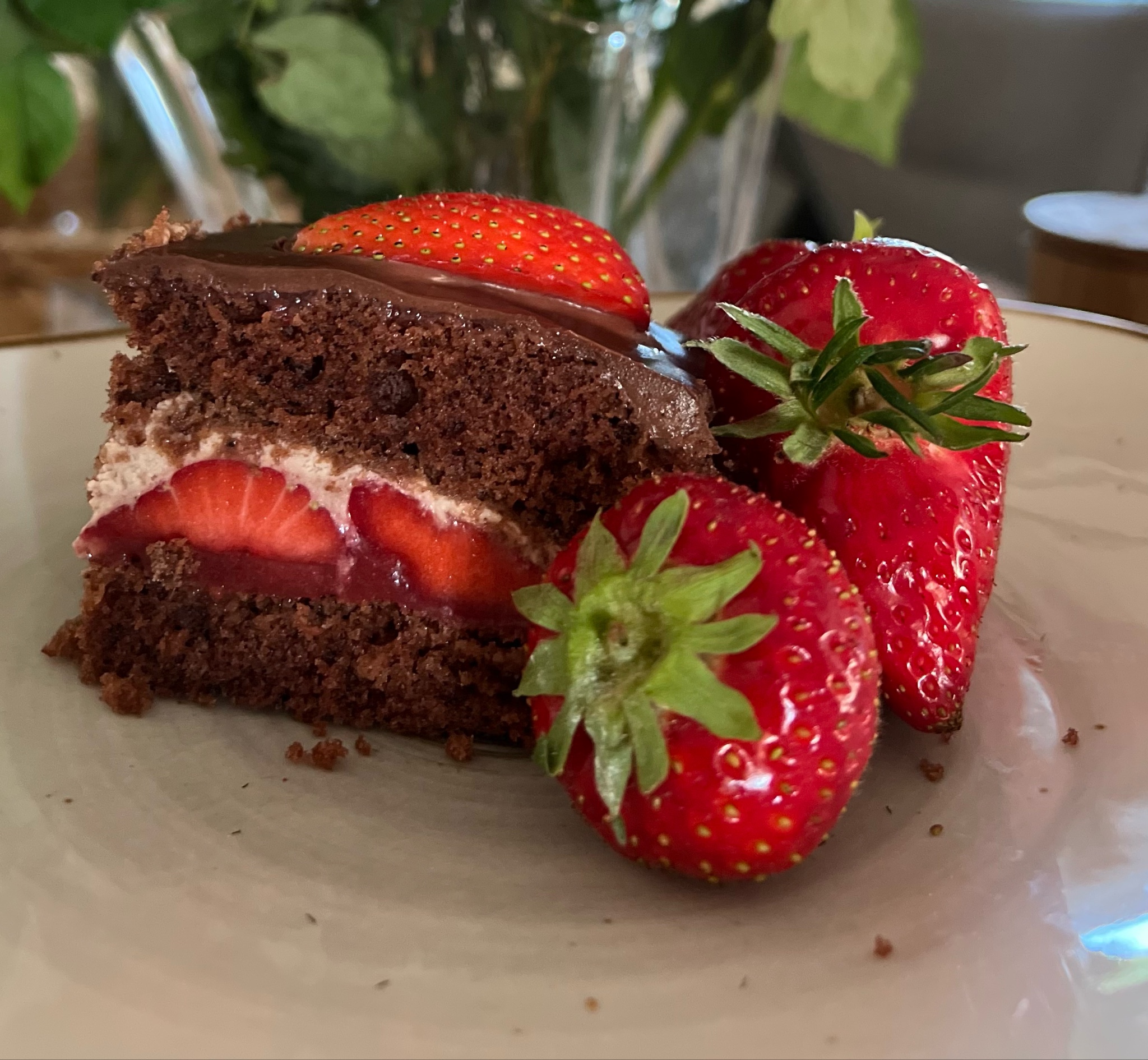 Erdbeer Schokoschnitten