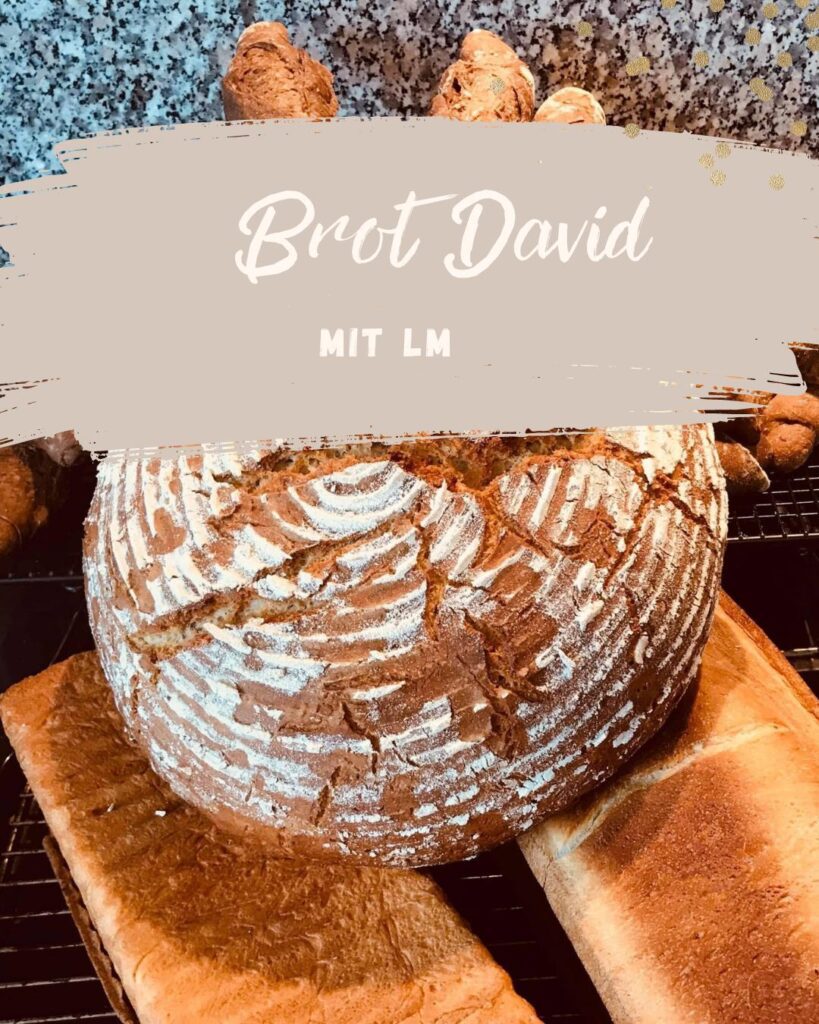 Brot David